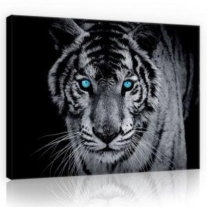 Film Occultant motif peau de tigre pour Vitre/Douche 150x45cm