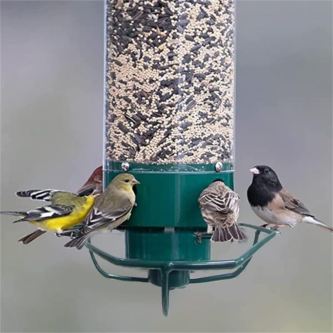 Mangeoire à oiseaux extérieure Grande capacité Mangeoire à oiseaux