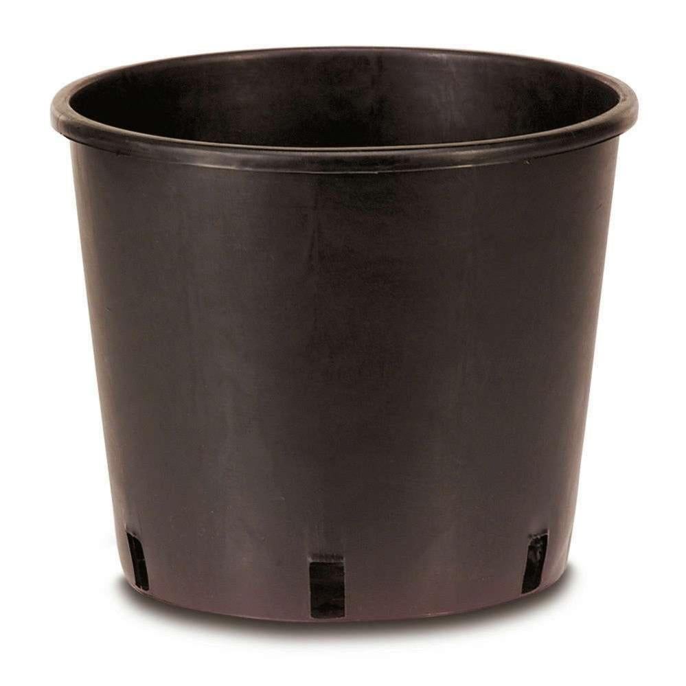 Wohnkult 20 Vasi Per Piante In Plastica Riciclata – 4 Litri, Nero – Diametro 20 Cm X Altezza 19 Cm – Ideali Per Radici Profonde