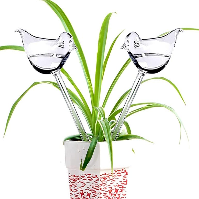 Globes d'arrosage pour plantes - 2 ampoules d'arrosage pour