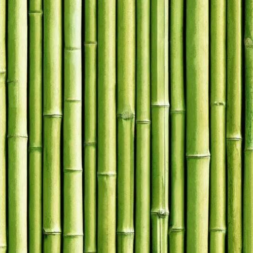 Packs OFERTA de cañas bambú decoración verde — Dbambu