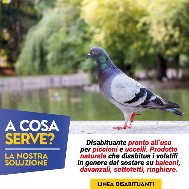 Disabituante Repellente Barriera Per Piccioni - Albagarden - Dissuasore  Naturale Per Allontanare Uccelli Molesti - Spray 750 ml