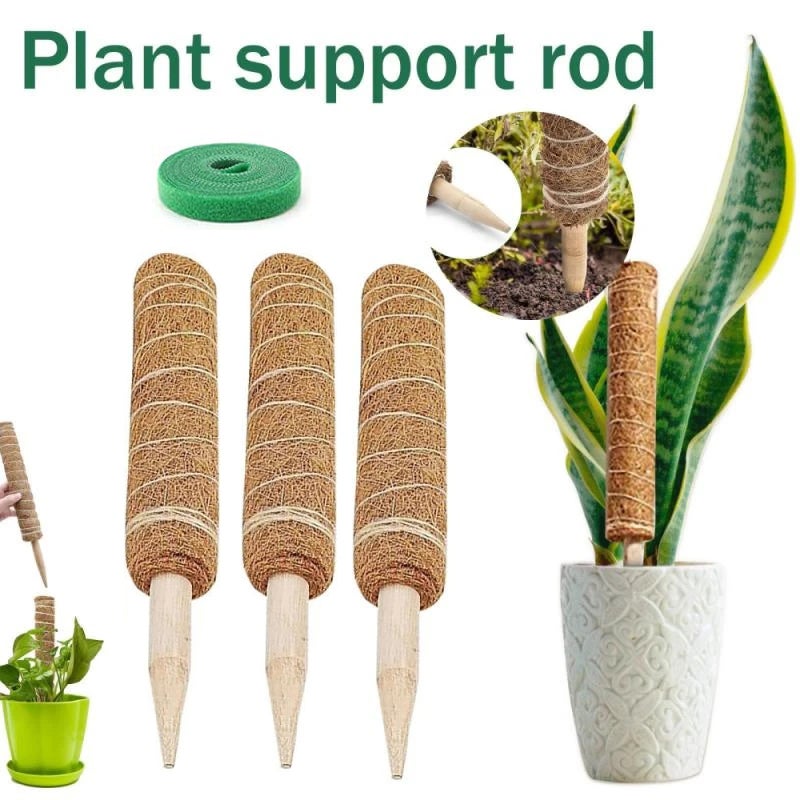 Supports pour plantes grimpantes, deux modèles disponibles
