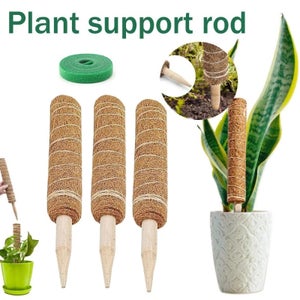 3Pcs Poteau de mousse pour plantes grimpantes, support d'extension,  supports pour palmiers et vignes, balcon intérieur, décoration de jardin  40cm