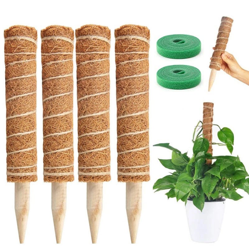 set de 4 supports pour plantes grimpantes en fibre de coco & bois, 2x40  cm, 2x30 cm, corde de jute - PEARL