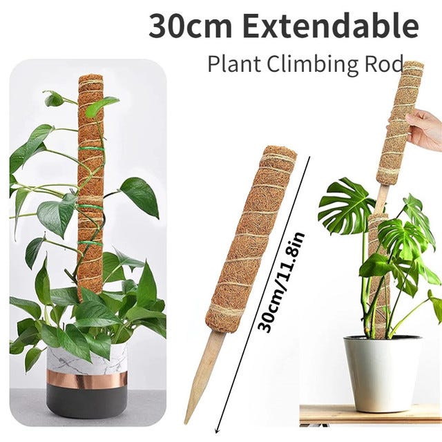 Flmtop Poteau de plante grimpante d'intérieur Support de plante en bâton de  mousse de coco pratique pour plantes grimpantes 