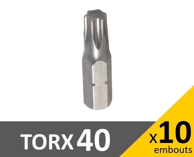 Sachet de 10 embouts de vissage TORX 40 | Bricoman