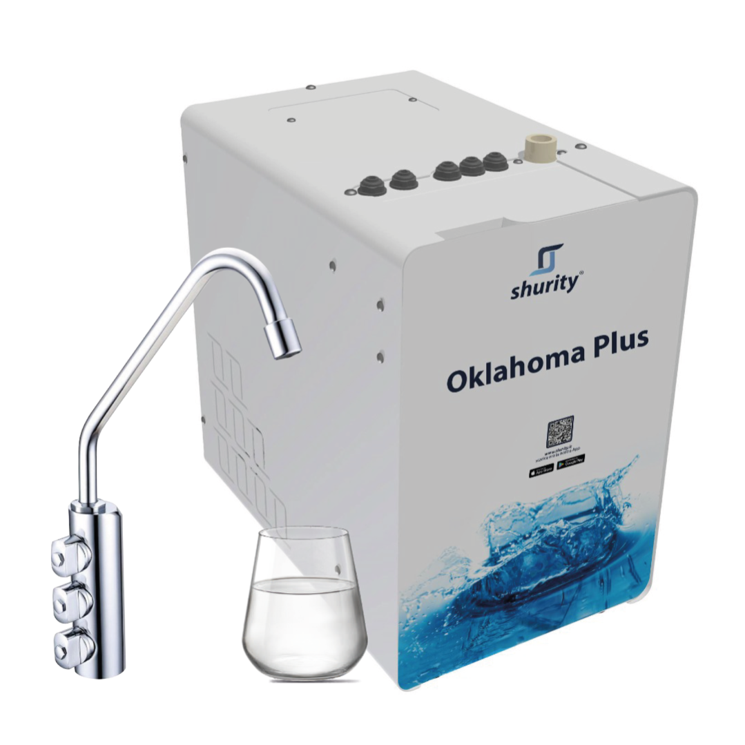 Ecoviva Depuratore Acqua Sottolavello, Osmosi Inversa 0,0001um, 1000GPD