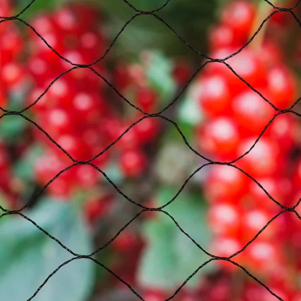 Warooma Rete da giardino, resistente per animali da giardino, per piante da frutta, alberi da frutta, rete metallica riutilizzabile per pollo, gabbia