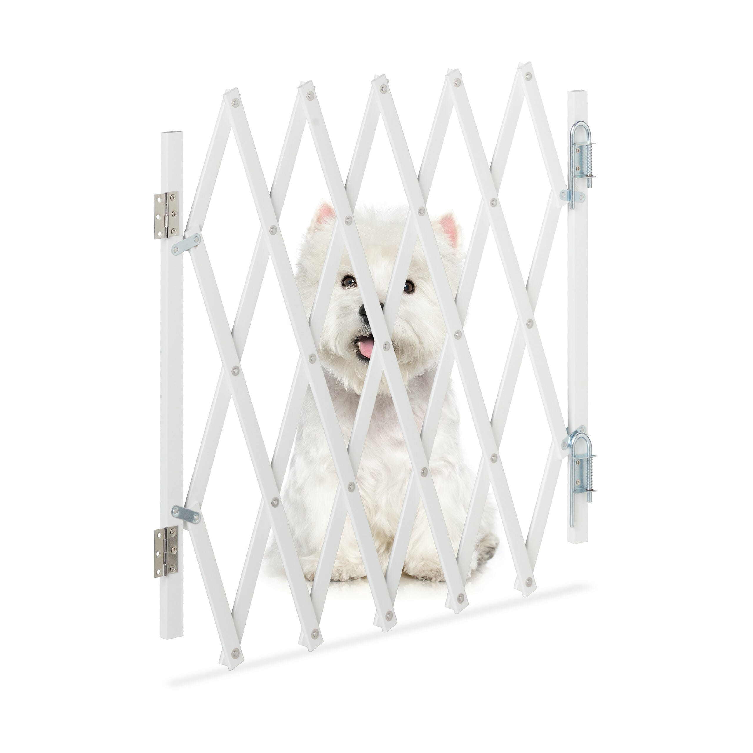 Barrière de sécurité pour chien