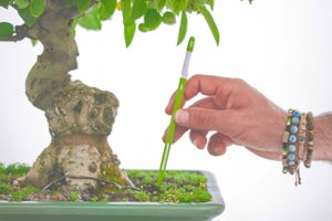 Attrezzi per Bonsai: Convogliatori di terriccio in alluminio con