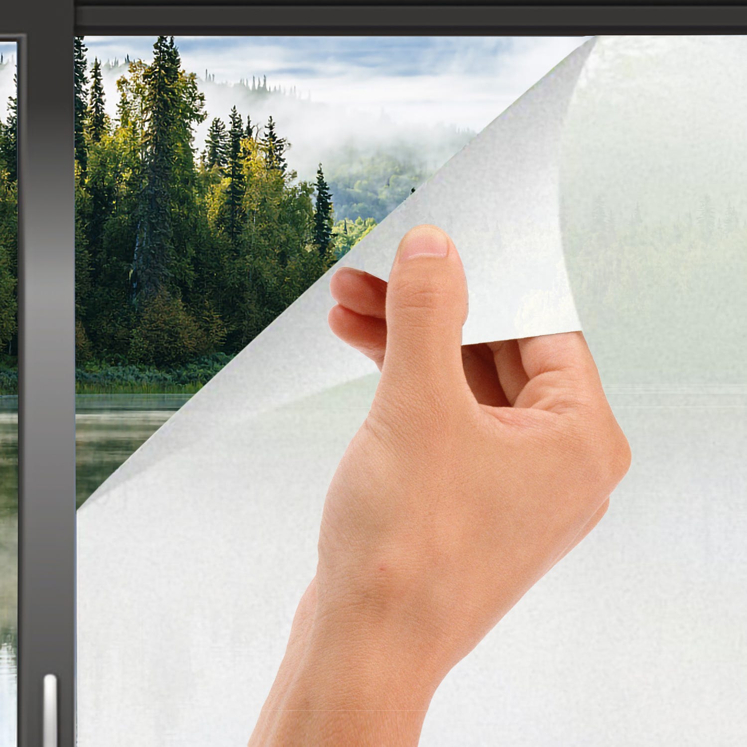 Pellicola per vetri Pellicola statica per la privacy Pellicola autoadesiva  per vetri smerigliati anti-UV 45x200 cm