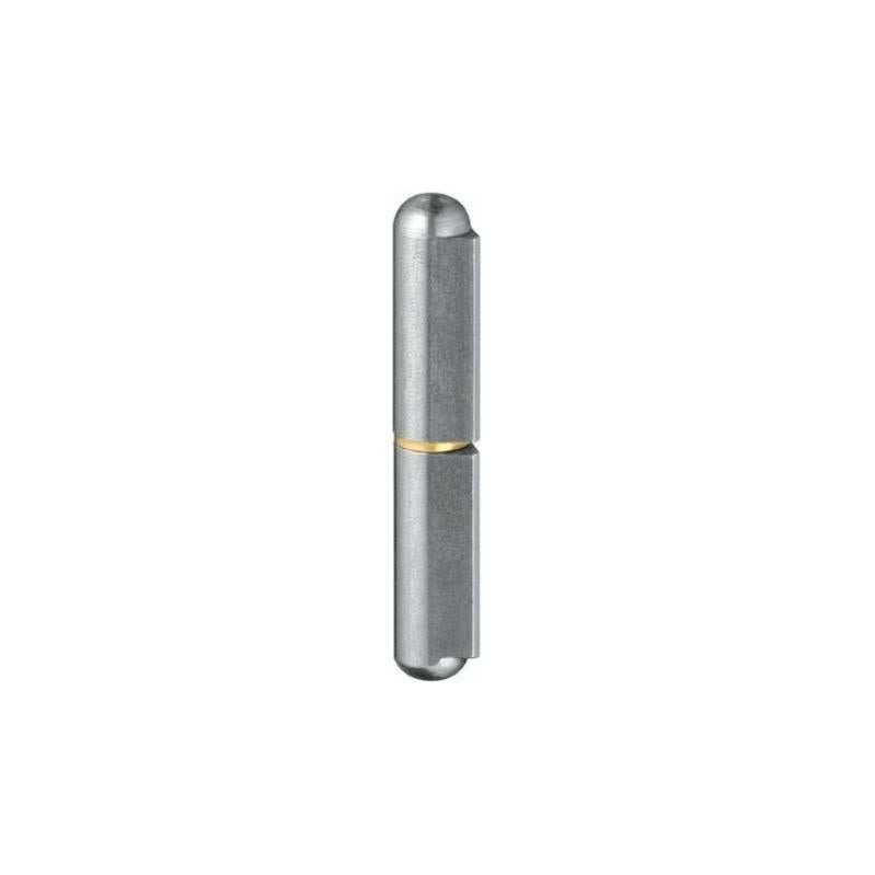Gond de porte KO 41 120mm 2 unités avec carré laiton Leroy Merlin — free download