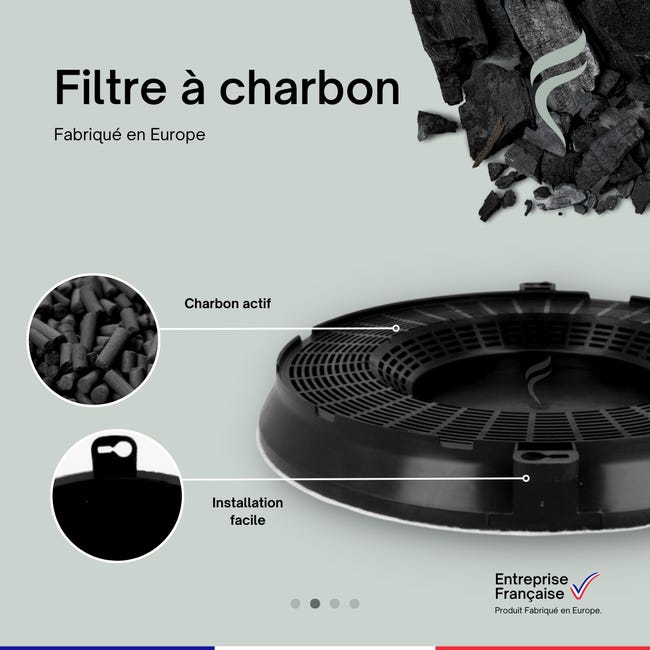 Filtre charbon 236x30 m/m type 48 hotte electrolux elica f00572/s - NPM  Lille