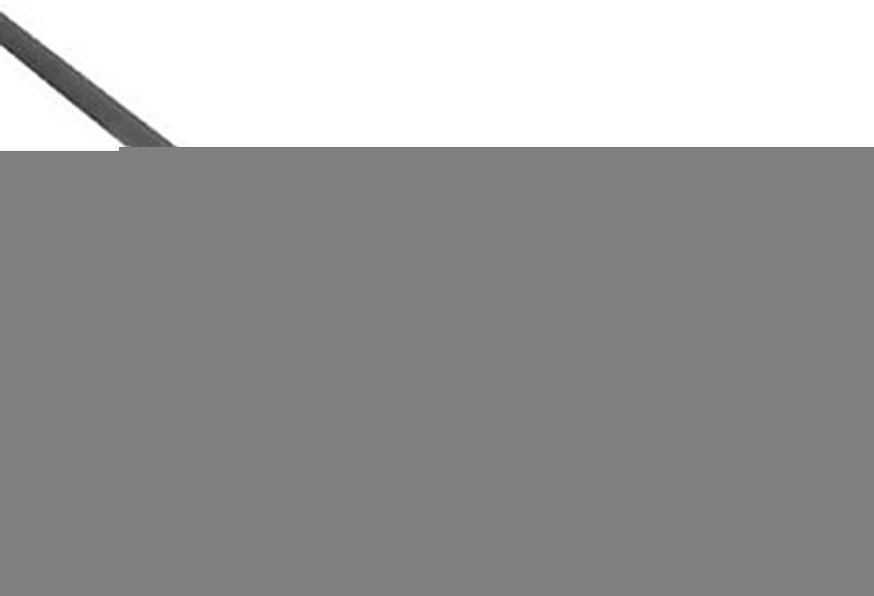 Fluidra 01400 - Recogehojas De Superfície Classic Con Mango Incorporado