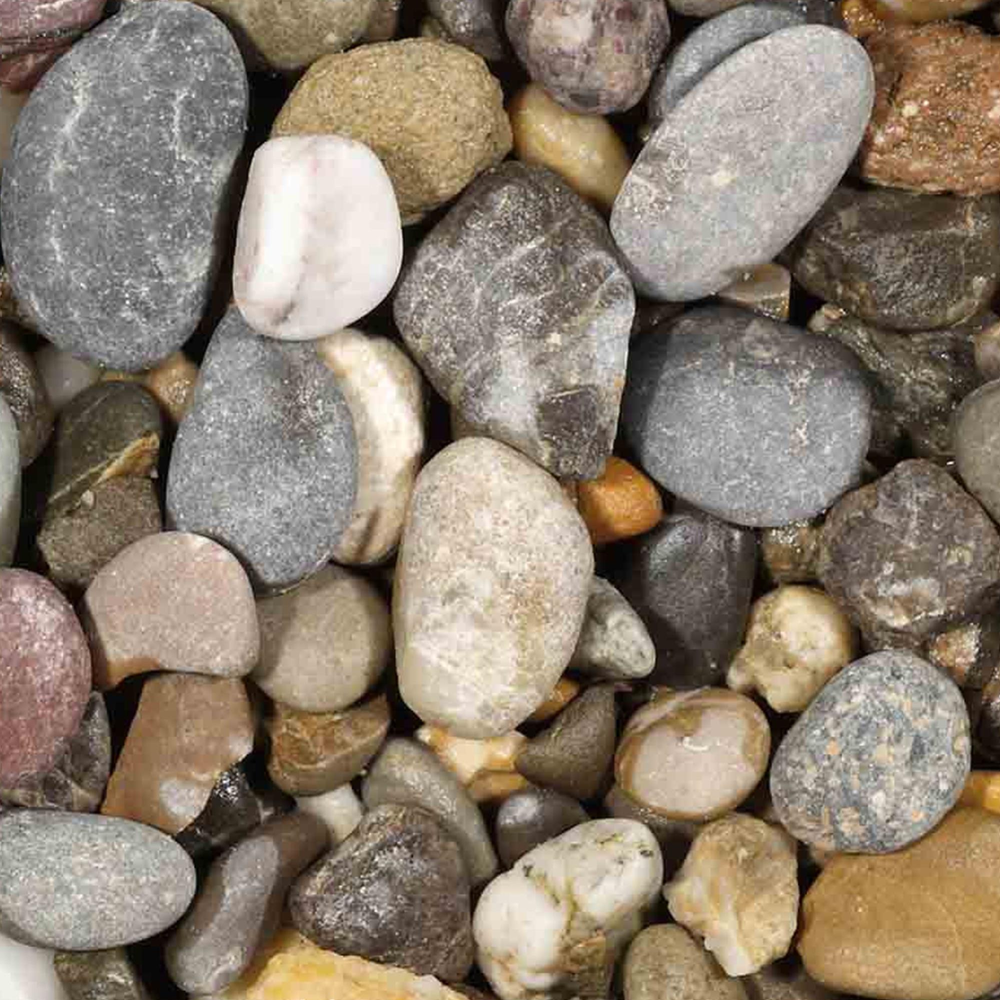 Matrix Coffret 720 X Matrix Bands, # 1 .0015" 0.04mm Regular Tofflemire Type Labradorite Bague - Foto 13