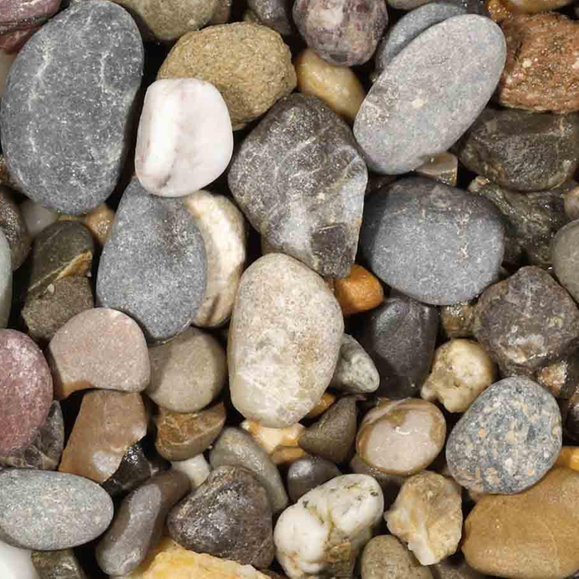 Matrix Coffret 720 X Matrix Bands, # 1 .0015" 0.04mm Regular Tofflemire Type Labradorite Bague - Foto 13