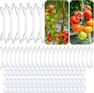 Attache Plante de Jardin Support pour Plantes Clips avec Fermoir,100Pièces  Réutilisables Pinces à Clip Tomate en Plastique(4x2.7cm).