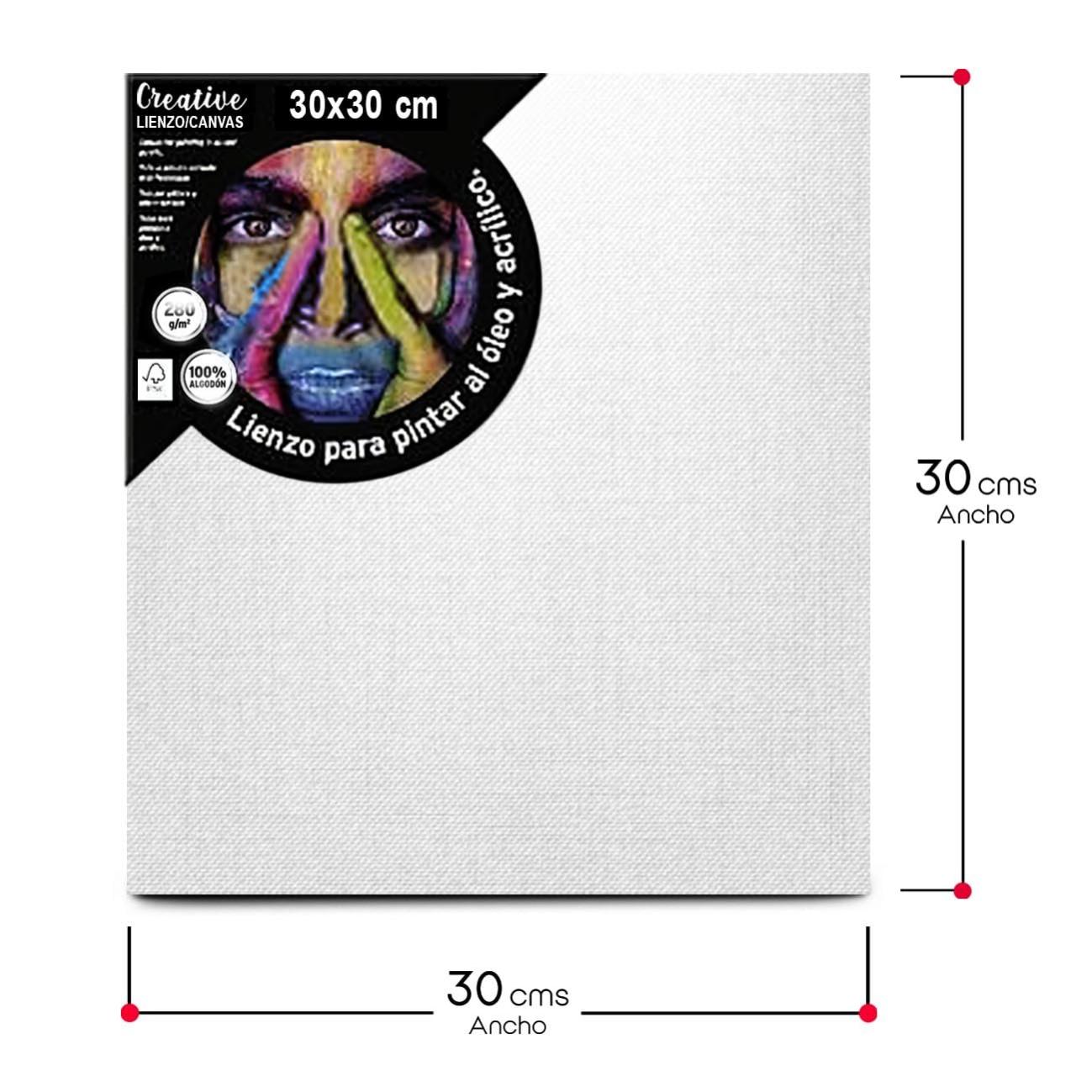 TIENDA EURASIA - Pack de 2 Lienzos para Pintar, Oleo, Acrílico, 30x30 cm - 2