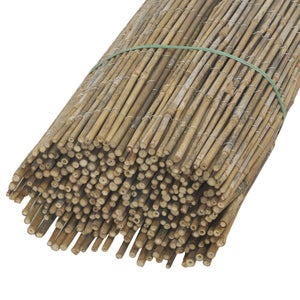 Canisse Bambou x 5 m - Différentes Hauteurs — BRYCUS