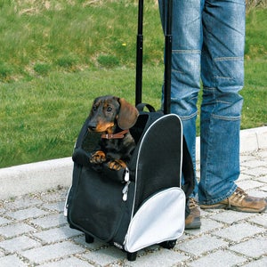 Carrito para perro Globetrotter