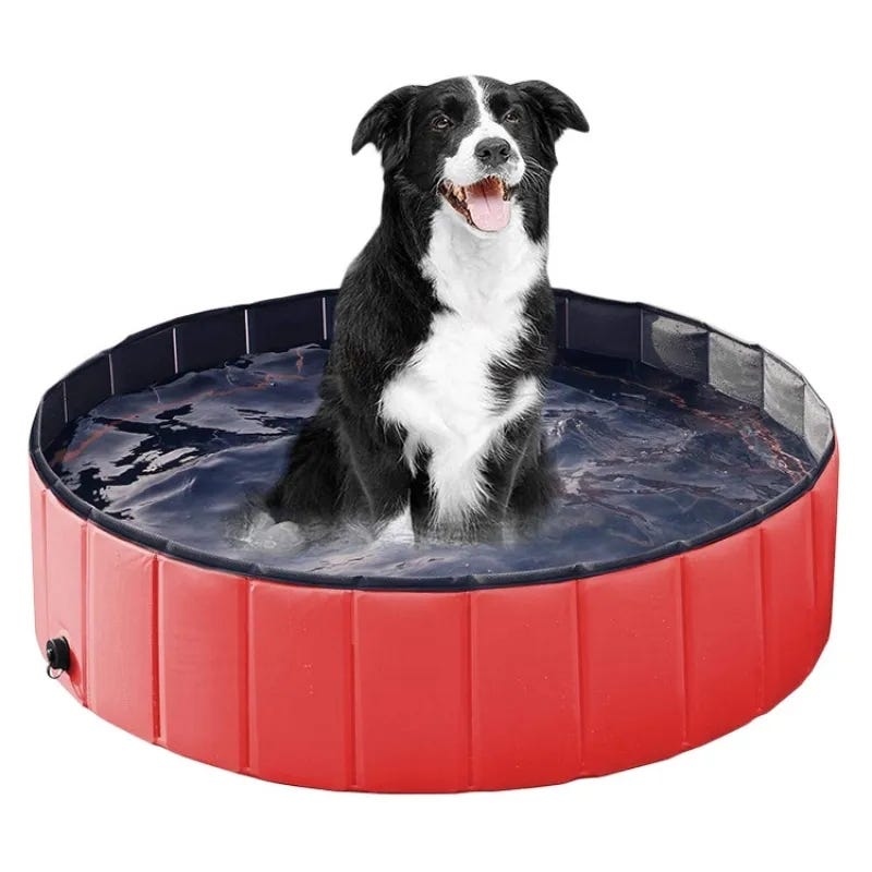 Acheter Blusea Piscine de bain pliable pour animaux de compagnie Piscine  pliable pour chiens Piscine pour animaux de compagnie pour chiens chats