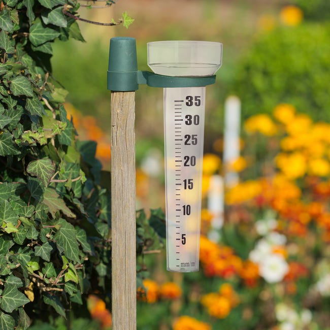 Relaxdays Lot de 10 pluviomètres, fixation, accessoire de mesure pour  jardin, 35 mm/m², plastique, transparent - vert