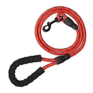 Laisse pour chien et gros chien, enrouleur, corde