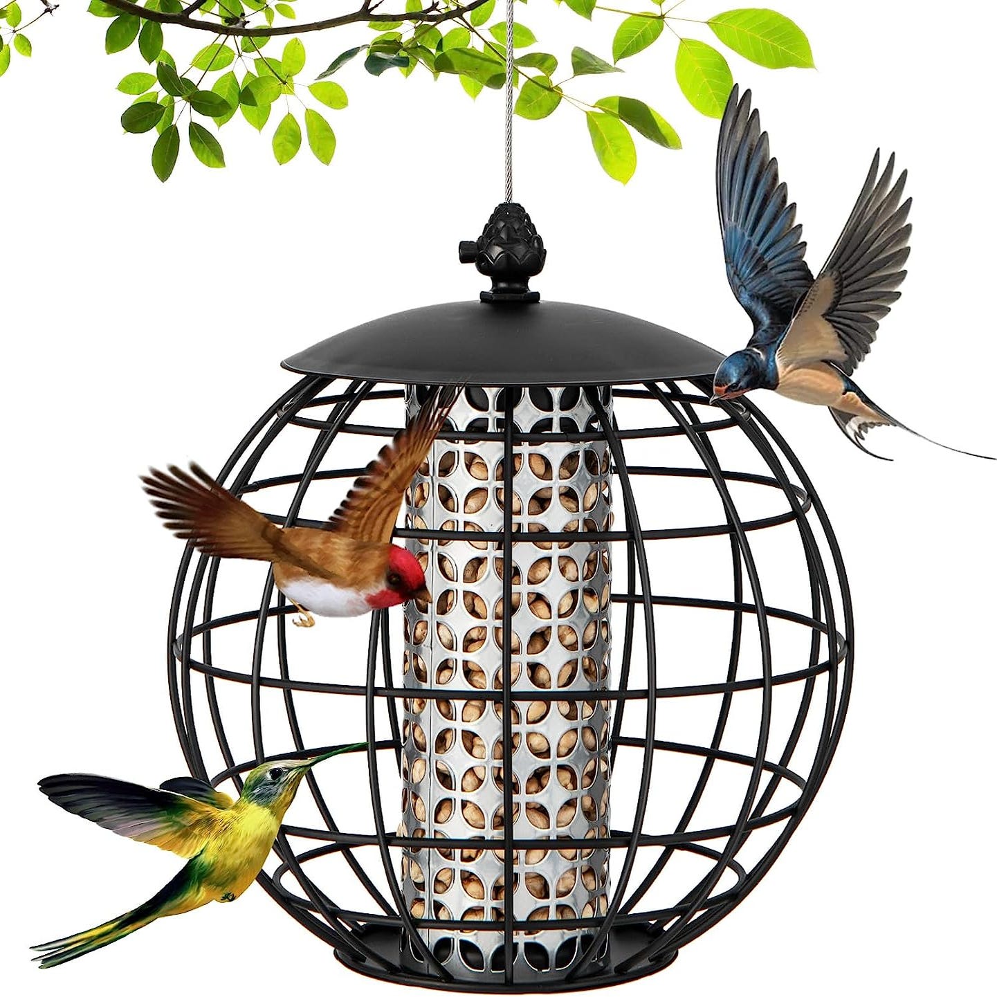 Mangeoire amovible pour colibris, bac à eau pour oiseaux sauvages