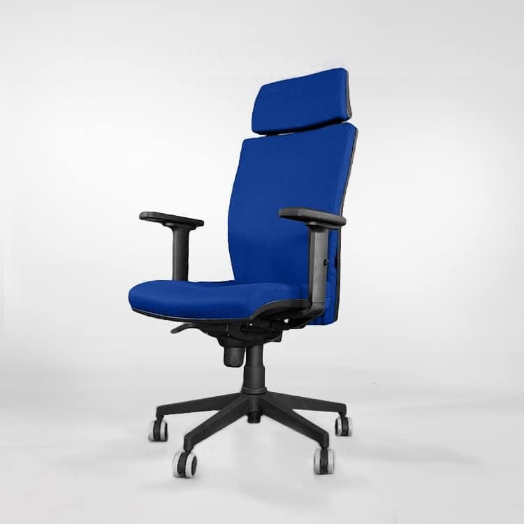 Sillón ergonomico de oficina con respaldo regulable en altura Spacio Europa  Azul