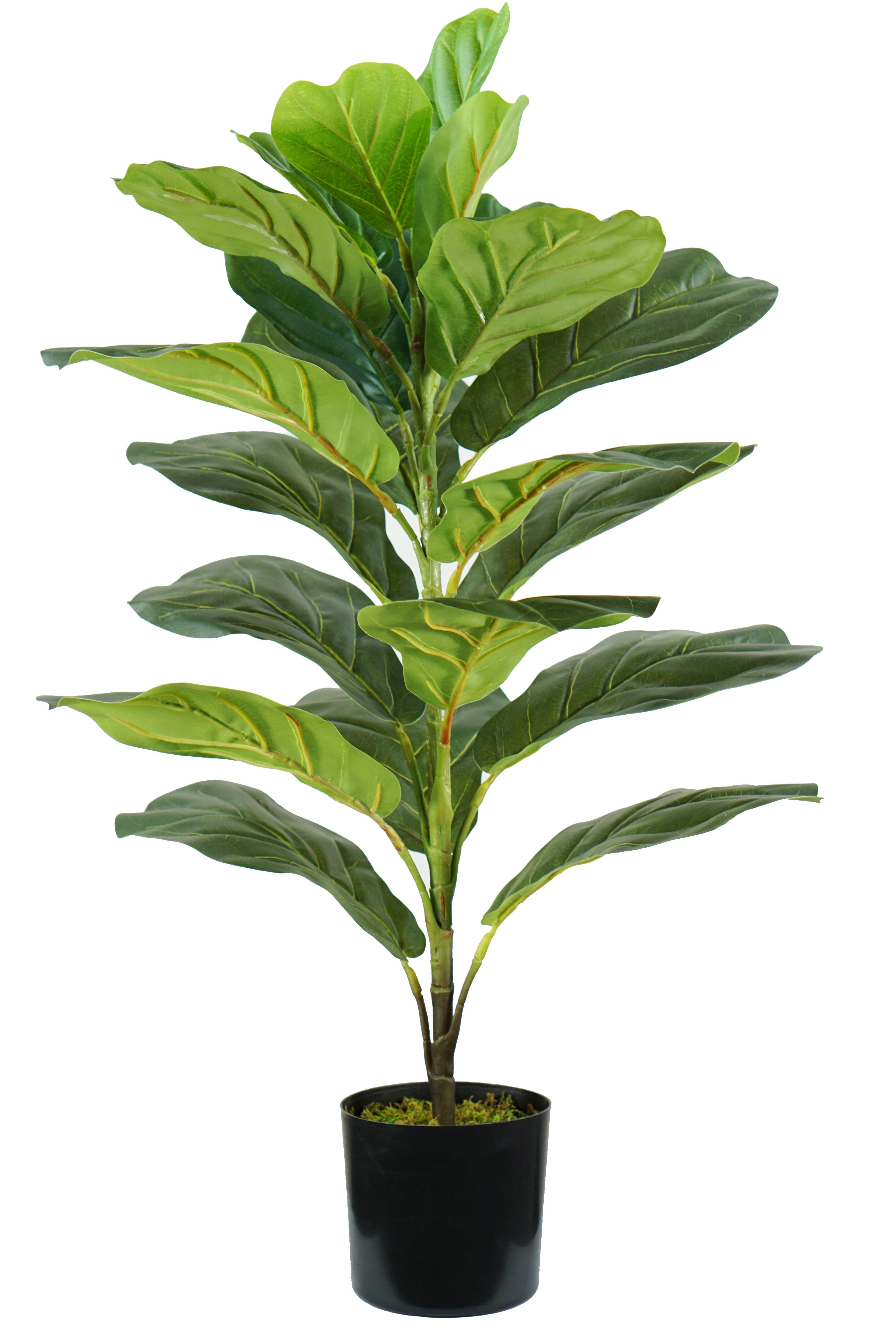 HOMCOM planta ficus artificial 110 cm árbol artificial con 90 hojas musgo y  maceta planta artificial