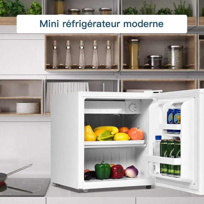 Mini Frigo Avec Congélateur Bergen Gris Acier Inoxydable 46l - Réfrigérateur  table top BUT