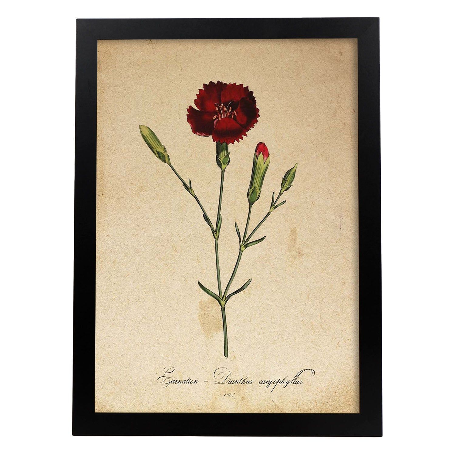 Nacnic Vintage Poster Fiori. Foglio Di Viola Con Design Vintage