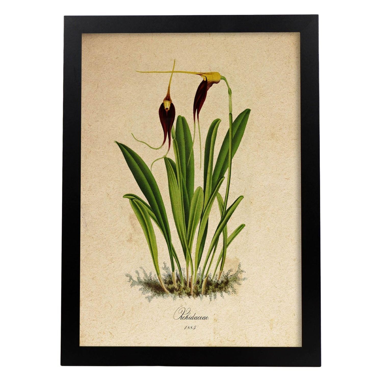 Fiori Di Orchidea Wall Art Stampe Su Tela Farfalle Fiore Giallo Dipinti Su  Tela Immagini A, image size:1499x1499