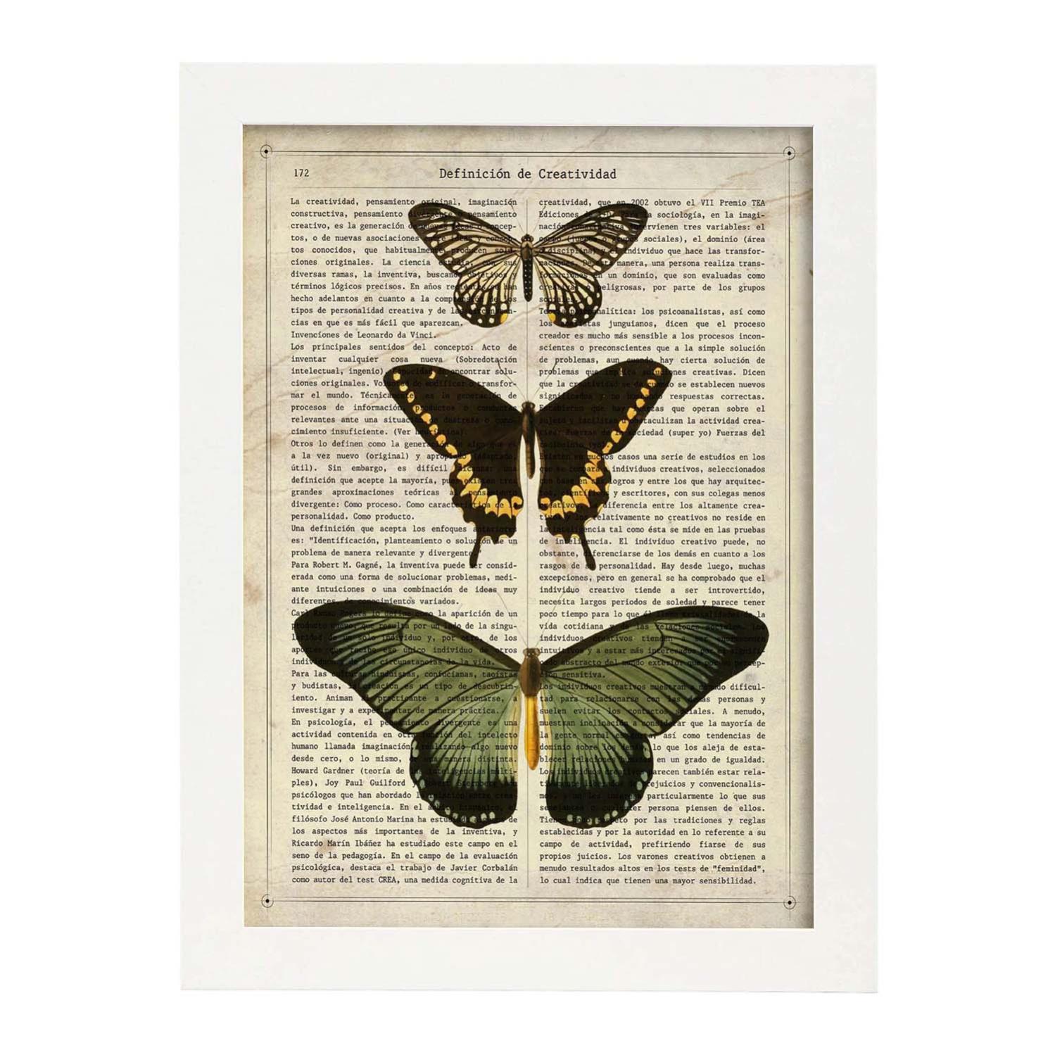 Morpho Butterfly Poster. Farfalle. Decorazione Di Farfalle E Falene