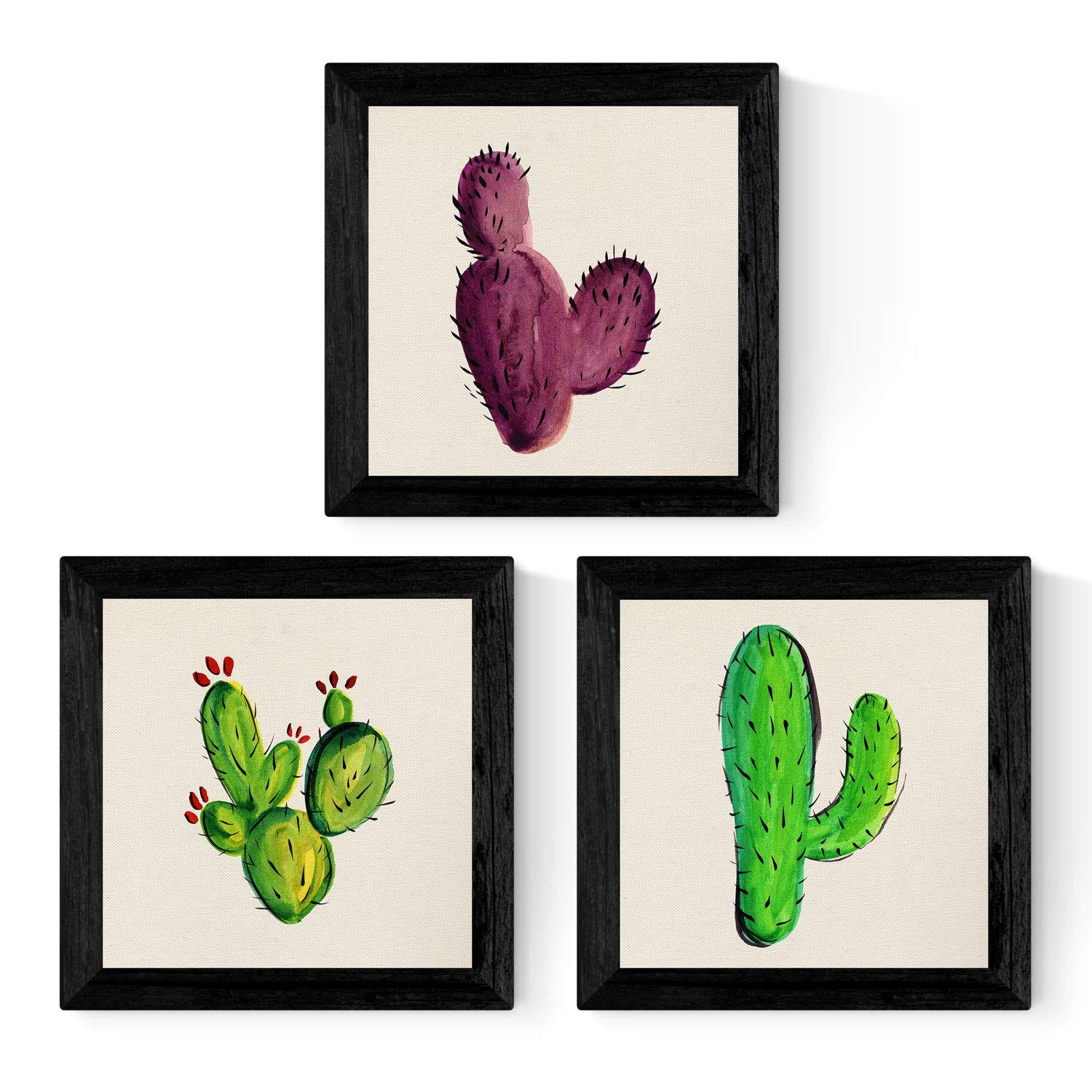 Cactus et déco : un design intemporel