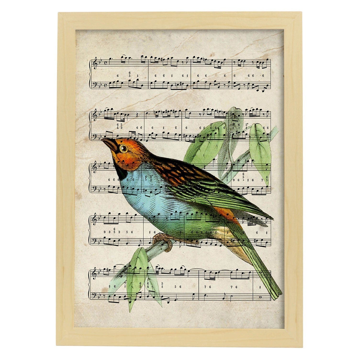 Poster Di Uccelli. Foglio Di Citron Con Punteggi. Dipinti Di Pajaritos Con  Punteggi Musicali. Senza Cornice A3