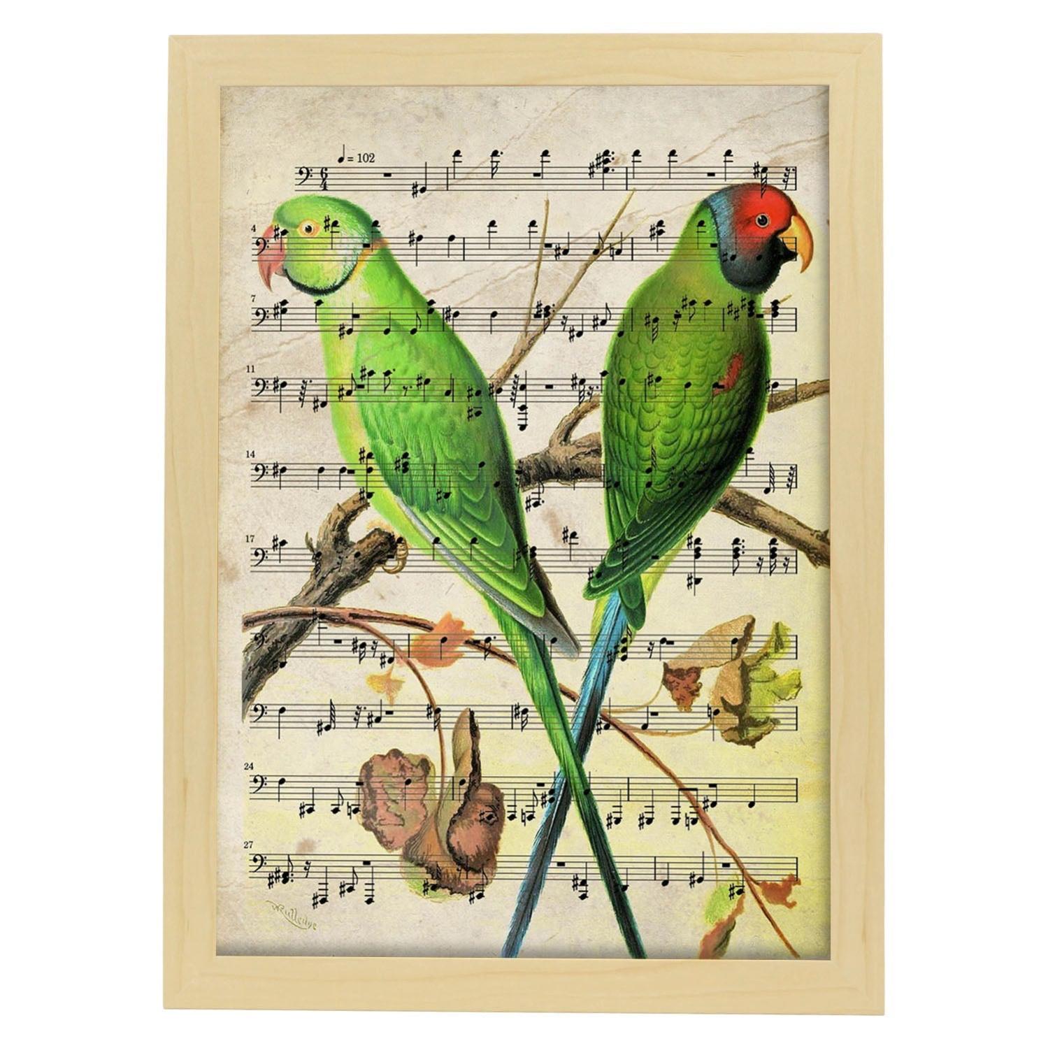 Nacnic Poster Uccello Thraupis Cyanocephala Con Spartiti Musicali – Formato A4, Carta Antalis 250gr, Fatto In Spagna