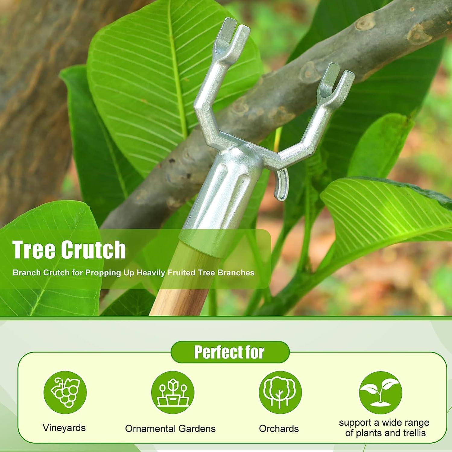 Épandeur de Branches, Entraîneur de Branches de Plantes Résistant à la