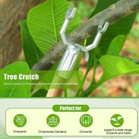 Épandeur de Branches, Entraîneur de Branches de Plantes Résistant à la Épandeur de Branches, Entraîneur de Branches de Plantes Résistant à la