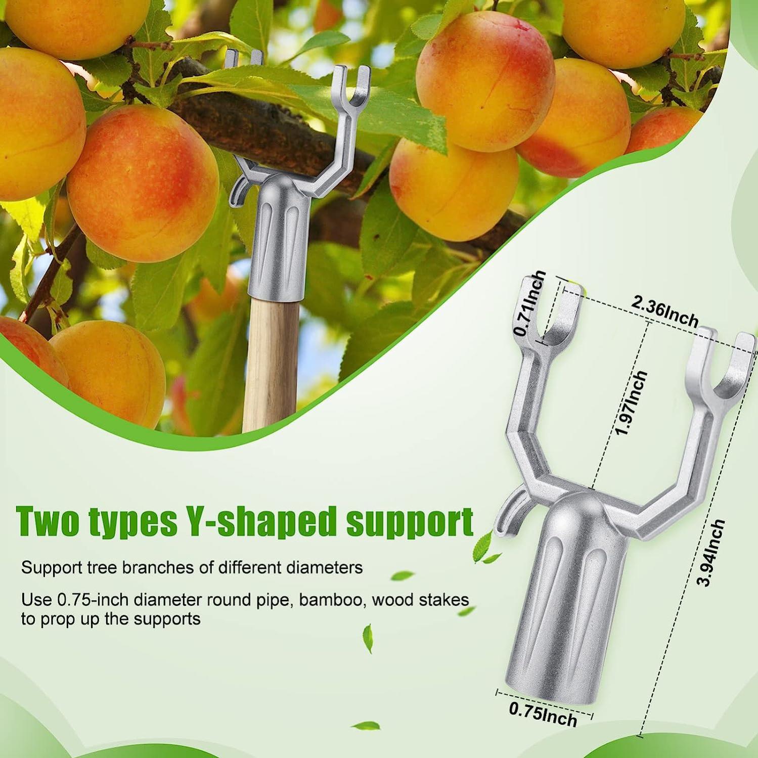 Kit 10 Pièces Outils Façonnage Branches Arbre Fruitier - Écarteurs Réglables Jardinage