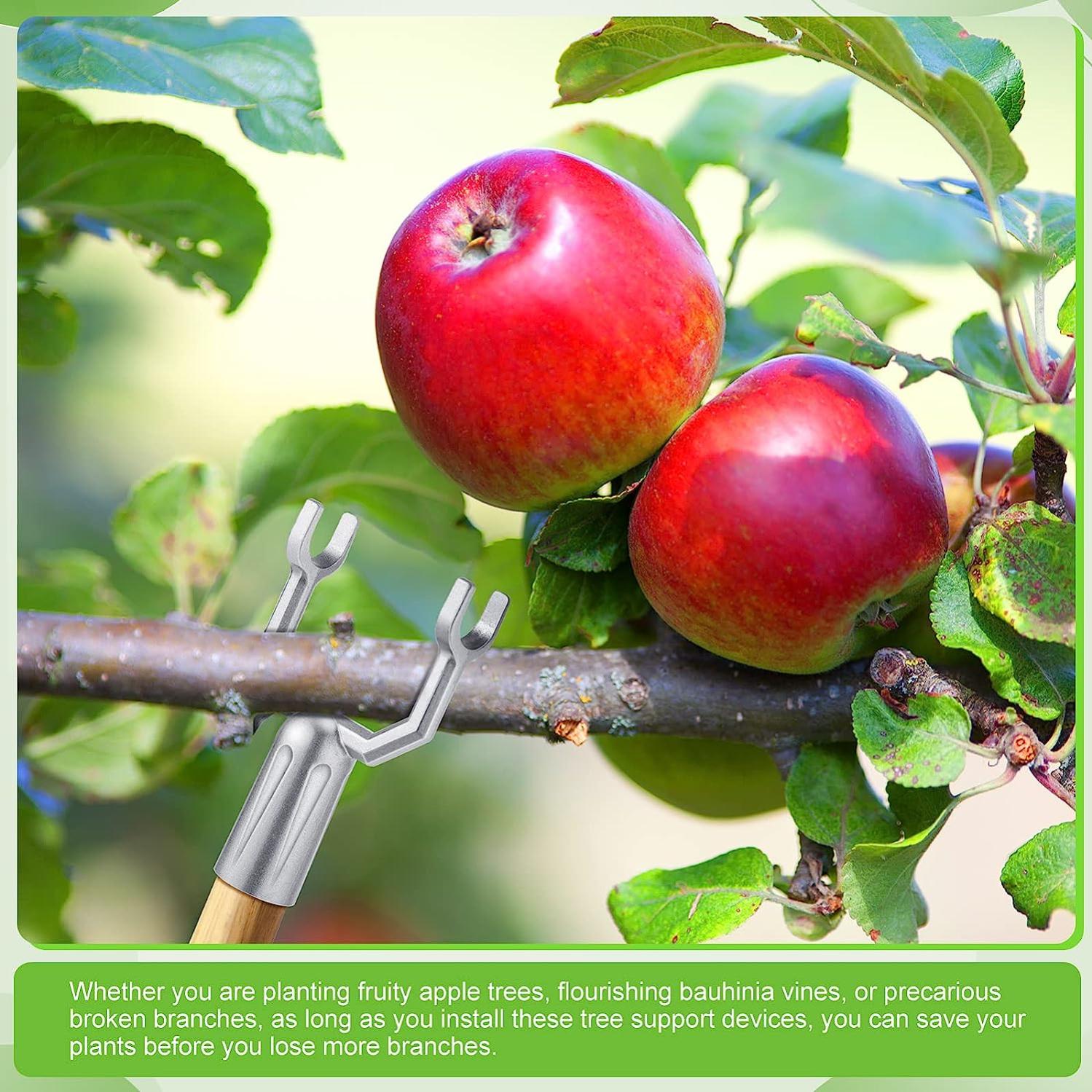 DOITOOL 10 Pezzi Supporto per Ramo di Un Albero in Metallo Supporto per Albero Ramo Stampella Albero Raddrizzamento Strumenti per Puntellare Rami di Alberi Fruttiferi per Vigneti