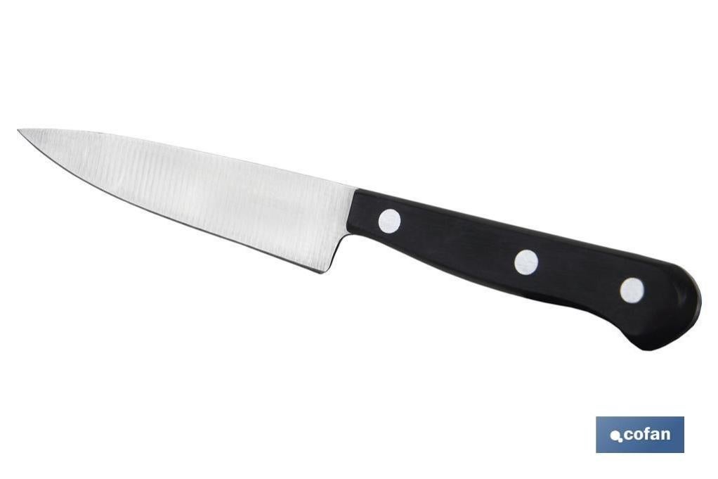 Richardson Sheffield KYU Coltello per pelare, Colore: Argento