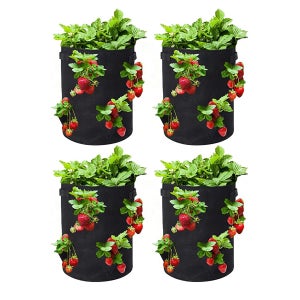 LNSYSNS Sacs de Culture 60 cm × 25 cm Sacs de Plantation de Jardin - avec  Quatre Compartiments, Quatre Trous D'aération Inférieurs - Rectangle Vert  Sac de Plantation Pommes de Terre : : Jardin