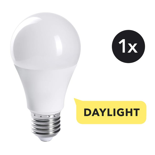 Comment choisir une ampoule lumière du jour ?