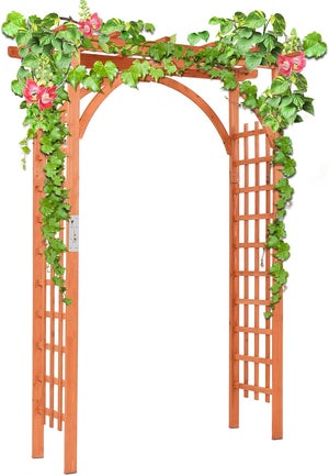 Arche de rose Aide à l'escalade noire Bacs à fleurs Arche de porte Treillis  Pergola