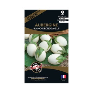 AUBERGINE BLANCHE OEUF FERME DE SAINTE MARTHE