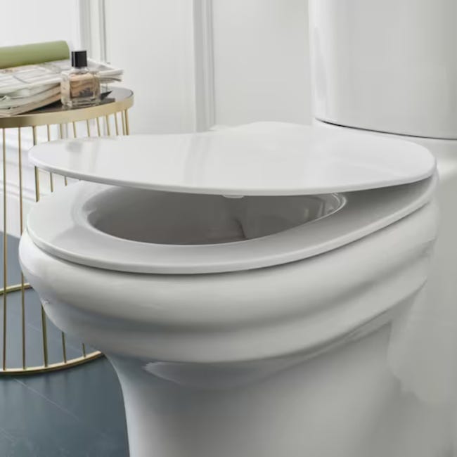 JACOB DELAFON Cléo 1889 tapa WC extraplana con descenso progresivo y  extraíble blanco
