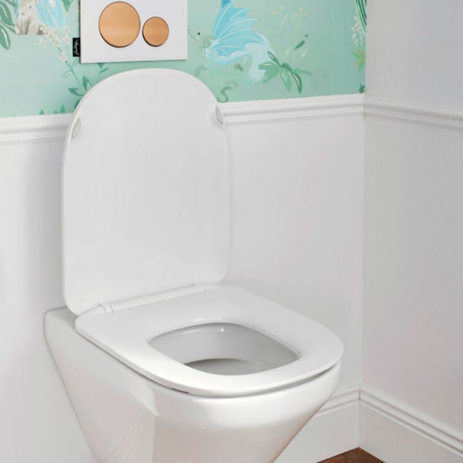JACOB DELAFON Cléo 1889 tapa WC extraplana con descenso progresivo y  extraíble blanco