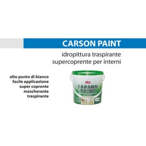 Pittura murale 14 lt al miglior prezzo